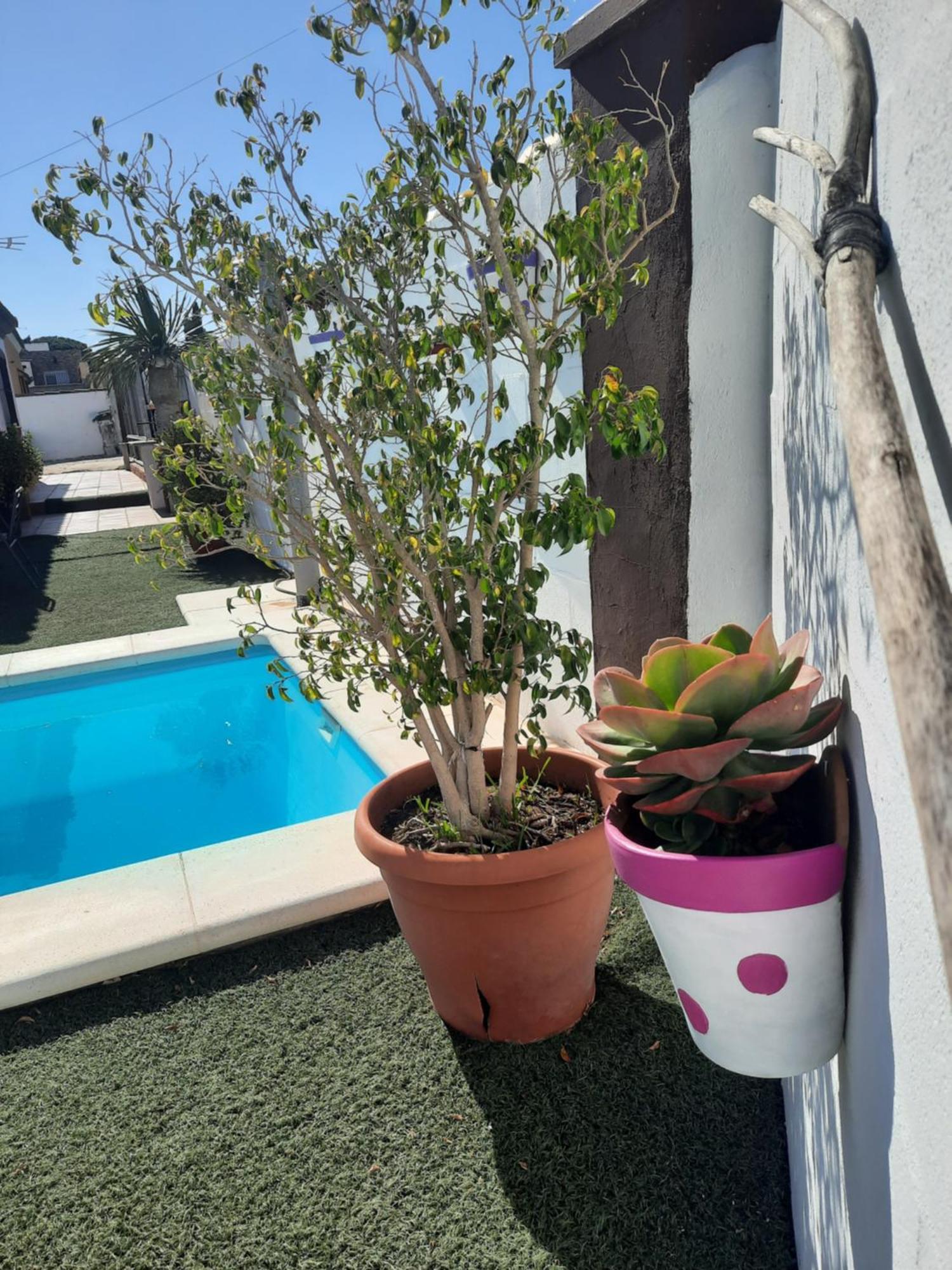 Casa La Pepa Villa Chiclana de la Frontera Bagian luar foto